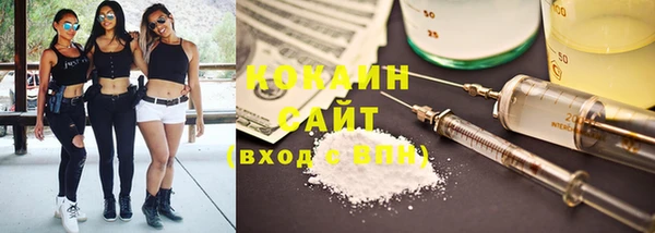 сатива Белокуриха
