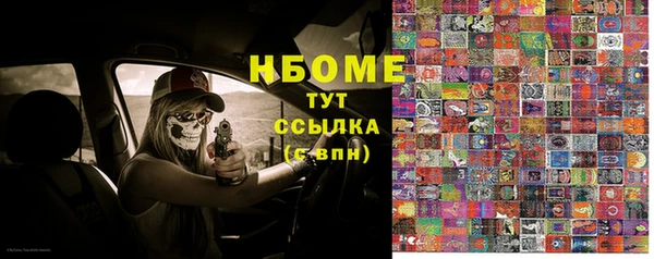 сатива Белокуриха
