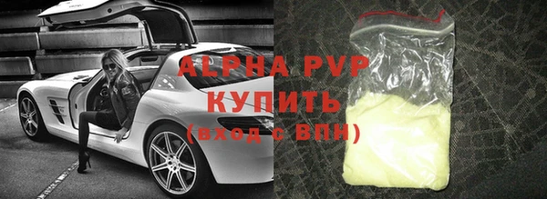 сатива Белокуриха