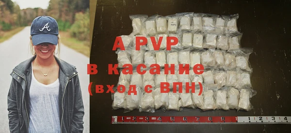сатива Белокуриха